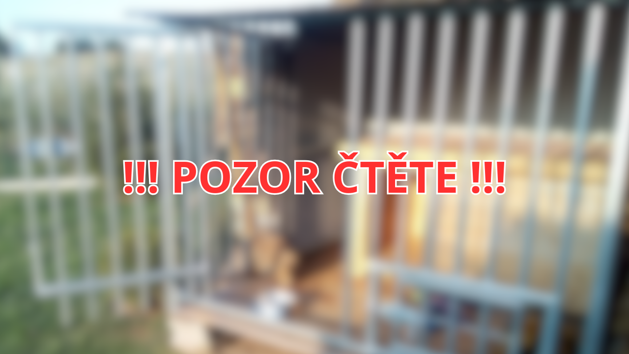 Levné kotce pro psy mohou být pastí pro vaše zvíře