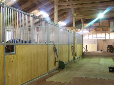 Boxy pro koně a jejich benefity při chovu koní ve stáji