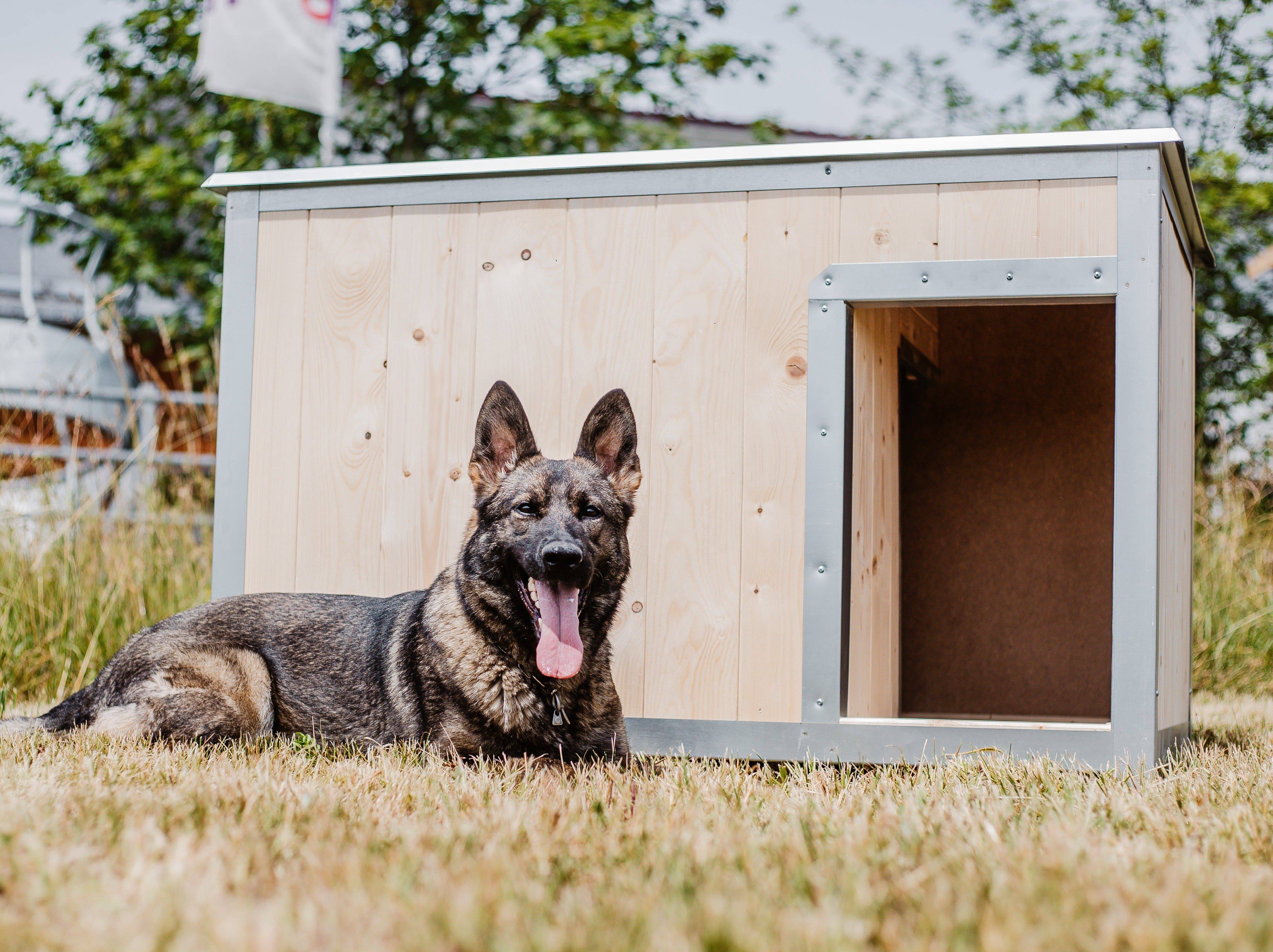 Bouda pro psa izolovaná - Texas Connection