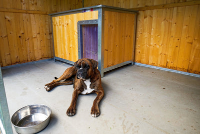 Je dřevěná bouda pro psa odolná vůči povětrnostním vlivům?