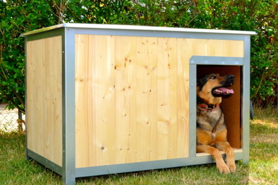 Jaká velikost psí boudy je vhodná pro středně velké psy?