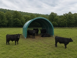 Plachtový přístřešek pro koně a skot 6 x 6 m